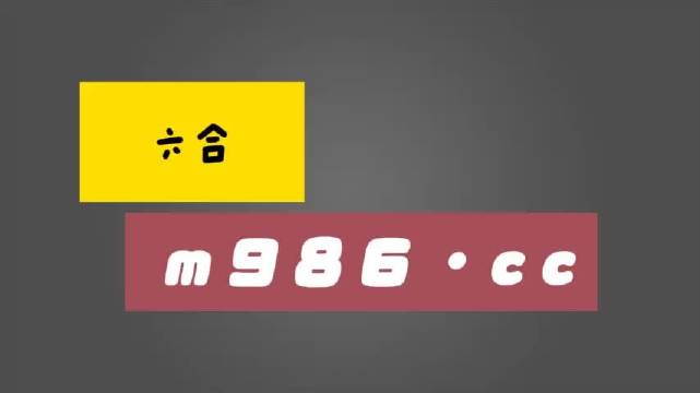 白小姐一肖一码一必中一肖,经典解答解释落实_soft98.081