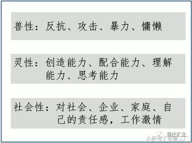 今晚三肖三码必中特,可信解答解释落实_CT45.127