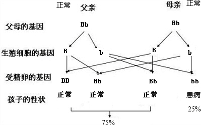 4961一拆一肖正版,性状解答解释落实_Z4.742