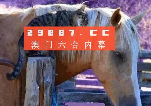 新澳门彩4949历史记录,广泛的关注解释落实热议_HD48.32.12