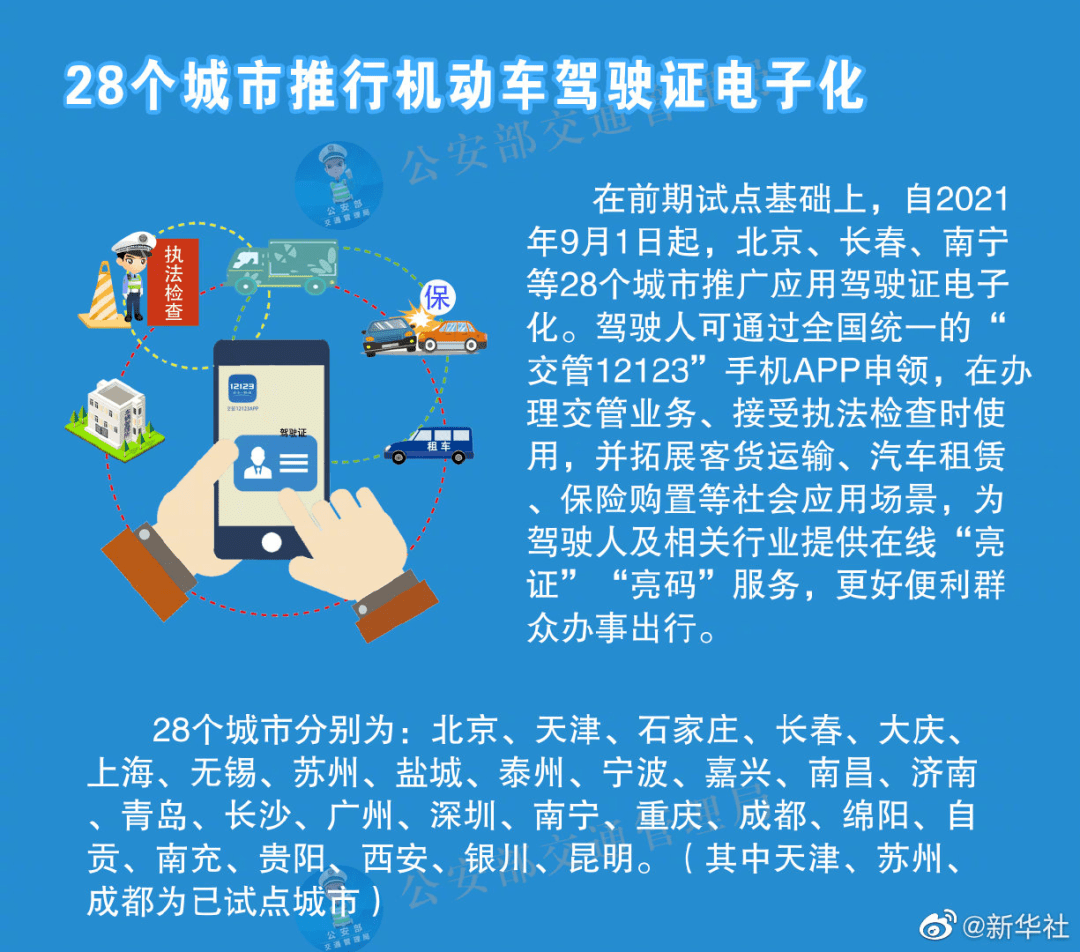 新澳正版资料与内部资料,全面解答解释落实_游戏版256.184