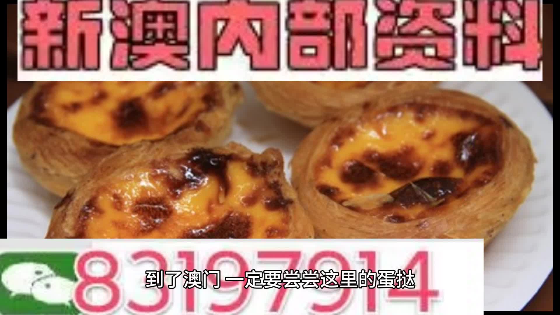 新澳门内部正版资料大全,最新正品解答落实_专业版150.205