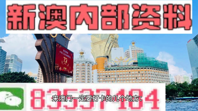 4949澳门免费精准大全,高端解答解释落实_幻想版8.65.73