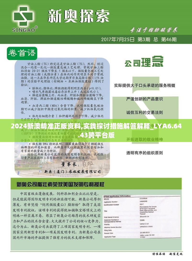 新澳2024年精准资料期期,乐观解答解释落实_占位版59.19.17